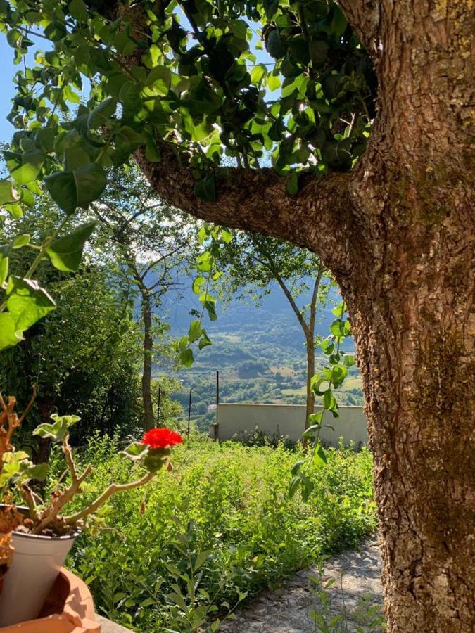 B&B Al San Francesco Castel Di Sangro Εξωτερικό φωτογραφία